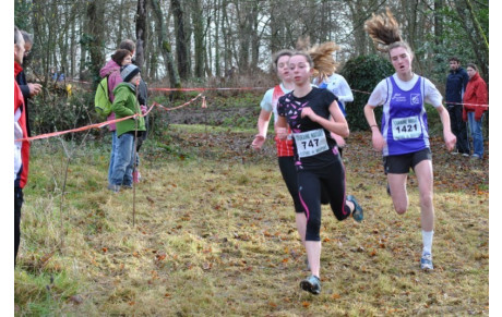 Cross de Chateaurenault 16 12 2012